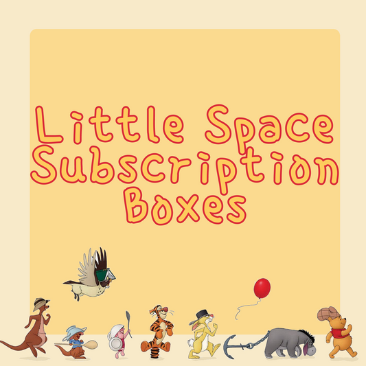 Little Space Subscription Box!