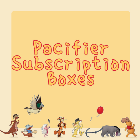 Pacifier Only Subscription Box!